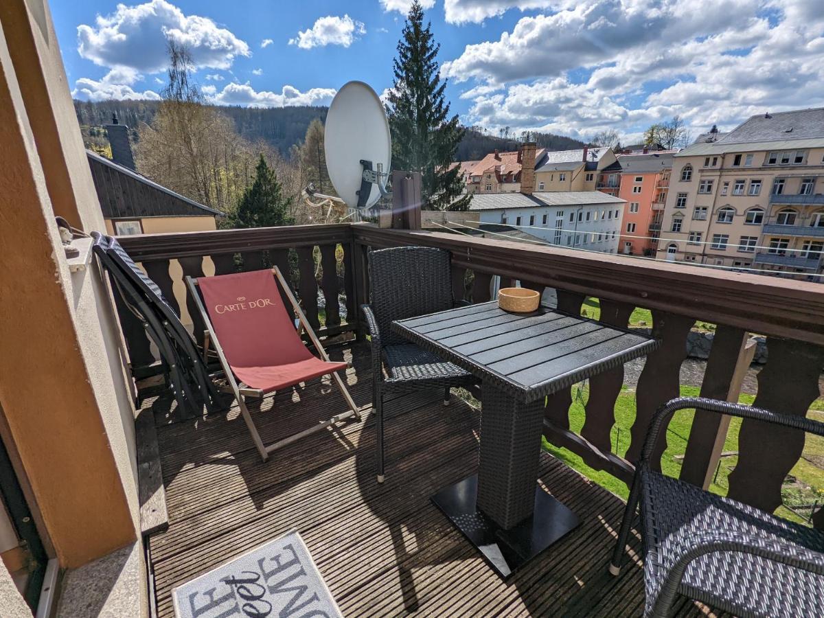 Apartmán Urlaubstraum Mit Pool, Terrasse & Fluss Im Garten - Ut Sebnitz Exteriér fotografie