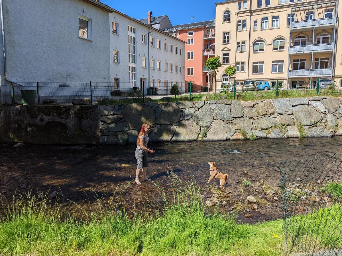 Apartmán Urlaubstraum Mit Pool, Terrasse & Fluss Im Garten - Ut Sebnitz Exteriér fotografie