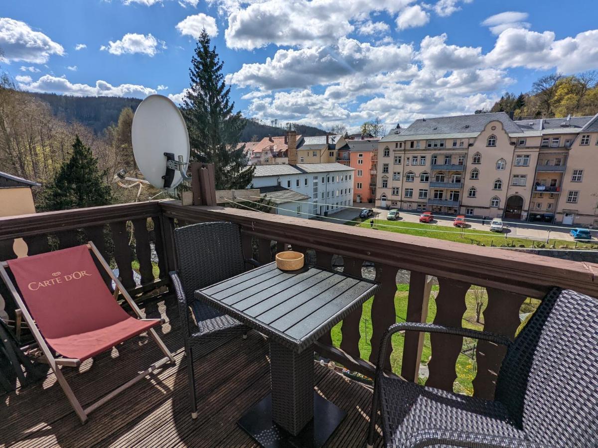 Apartmán Urlaubstraum Mit Pool, Terrasse & Fluss Im Garten - Ut Sebnitz Exteriér fotografie