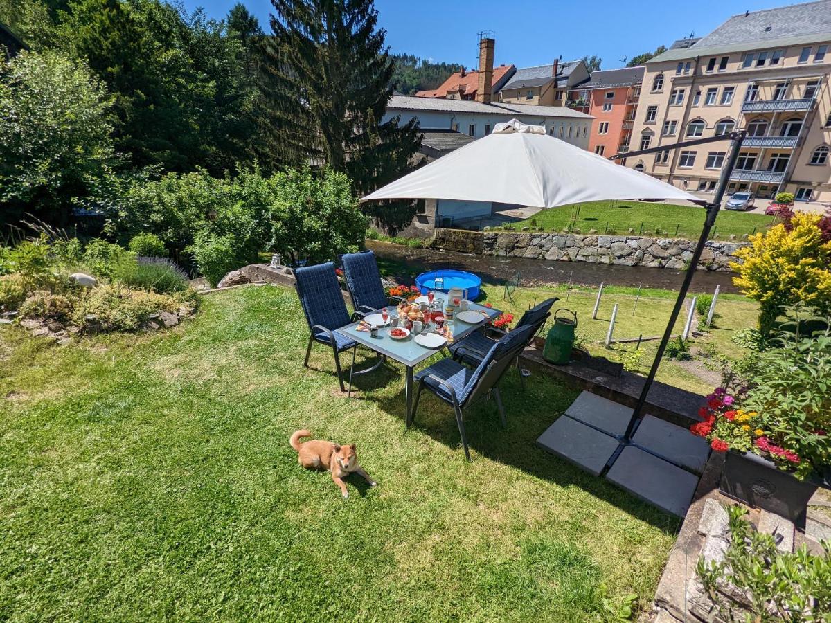 Apartmán Urlaubstraum Mit Pool, Terrasse & Fluss Im Garten - Ut Sebnitz Exteriér fotografie