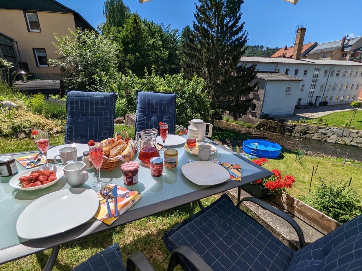 Apartmán Urlaubstraum Mit Pool, Terrasse & Fluss Im Garten - Ut Sebnitz Exteriér fotografie
