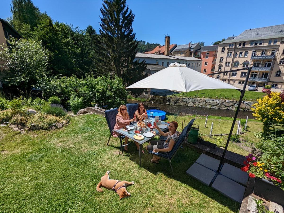 Apartmán Urlaubstraum Mit Pool, Terrasse & Fluss Im Garten - Ut Sebnitz Exteriér fotografie